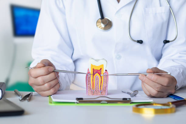 Best Emergency Treatment for Dental Infections or Abscesses in Valley Falls, RI